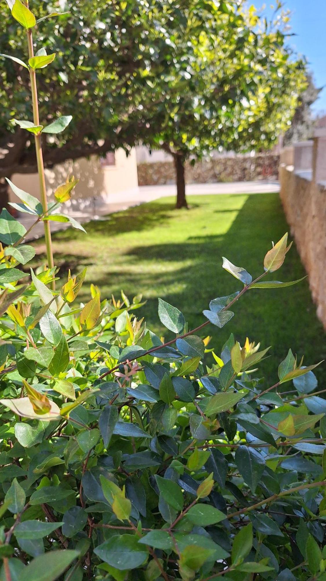 Antares Apartments Cavtat Eksteriør bilde