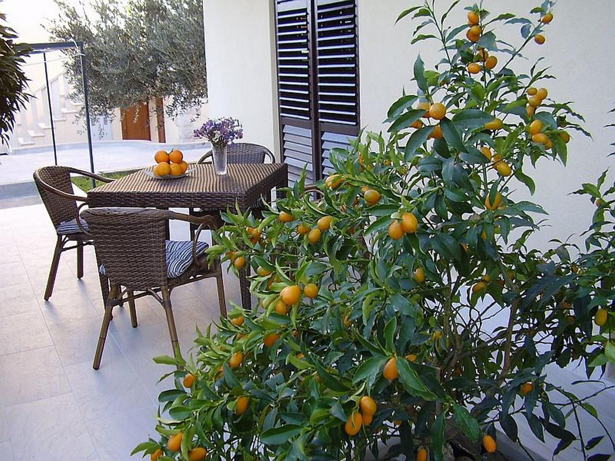 Antares Apartments Cavtat Eksteriør bilde